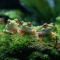 Натуральный мох торфяной Terrario ForestHeart Sphagnum Moss 100г для террариумов и орхидей