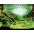 Аквариумный задний фон Aqua Nova Растения/Океан 100x50см (PLANTS/OCEAN L)