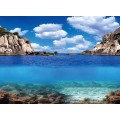 Аквариумный задний фон Aqua Nova Растения/Океан 100x50см (PLANTS/OCEAN L)