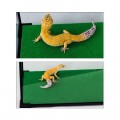 Коврик-субстрат Repti-Zoo Carpet Mat 60x45см (EC02)