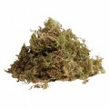 Живой мох Komodo Habitat Moss 1,5л (83003)