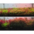 Грунт активный для аквариума Neo Soil Plant No CO2 8л. - без потребности в CO₂