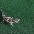Коврик-субстрат Repti-Zoo Carpet Mat 50x30см (EC07)