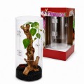 Тераріум для комах та павуків Hobby Terra Fix & Easy Insect Line 15×15×30 см акриловий 360° (36028)