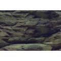 Аквариумный задний фон Aqua Nova Скалы/Растения 150x60см (ROCK/PLANTS XL)