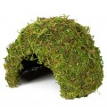 Укрытие из мха Repti-Zoo Natural Mossy Dome M 14x10,5 (ERS25M)