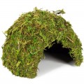 Укрытие из мха Repti-Zoo Natural Mossy Dome M 14x10,5 (ERS25M)