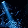 Распылитель с LED освещением Hobby Bubble Air Spot moon (00671)