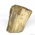 Декоративный природный камень Hobby Petrified Wood S 0.3-1.0кг (40686)