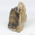 Декоративный природный камень Hobby Petrified Wood S 0.3-1.0кг (40686)