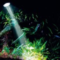 Распылитель с LED освещением Hobby Bubble Air Spot daylight (00673)