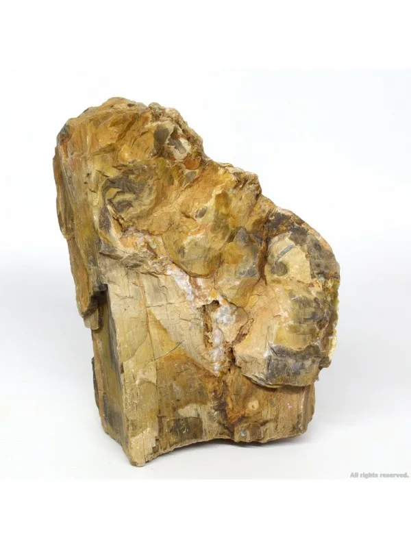 Декоративний природній камінь Hobby Petrified Wood M 1-2.2кг (40687)
