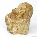 Декоративний природній камінь Hobby Petrified Wood M 1-2.2кг (40687)
