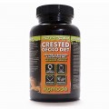 Корм для геконів Komodo Advanced Gecko Diet 180g (83225)