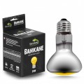 Неодимовая лампа Terrario Banikane Neodymium Light 25w (TR-BANIKANE-25W)