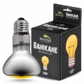 Неодимовая лампа Terrario Banikane Neodymium Light 25w (TR-BANIKANE-25W)