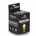 Неодимовая лампа Terrario Banikane Neodymium Light 25w (TR-BANIKANE-25W)