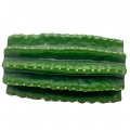 Декорация укрытия кактус Hobby Cactus Tube 1 13,5×8,5×7 см для террариума (36510) Декорация укрытия кактус Hobby Cactus Tube 1 13,5×8,5×7 см для террариума (36510)