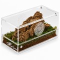 Террариум акриловый Repti-Zoo Easy Clean Acrylic ACR47 20×10×10 см для насекомых, пауков