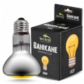 Неодимовая лампа Terrario Banikane Neodymium Light 50w (TR-BANIKANE-50W)