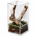 Тераріум акриловий Repti-Zoo Easy Clean Acrylic ACR46 10×10×20 см для комах, павуків