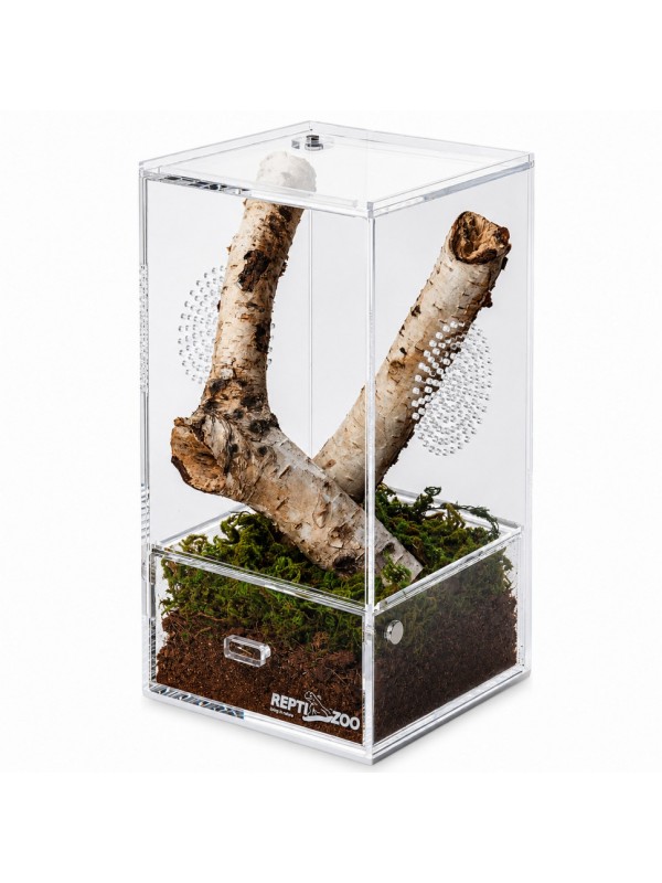 Тераріум акриловий Repti-Zoo Easy Clean Acrylic ACR46 10×10×20 см для комах, павуків