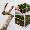 Тераріум акриловий Repti-Zoo Easy Clean Acrylic ACR46 10×10×20 см для комах, павуків