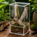 Тераріум акриловий Repti-Zoo Easy Clean Acrylic ACR46 10×10×20 см для комах, павуків
