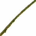 Лиана с натуральным мхом Repti-Zoo 1см x 2м (RV0210)