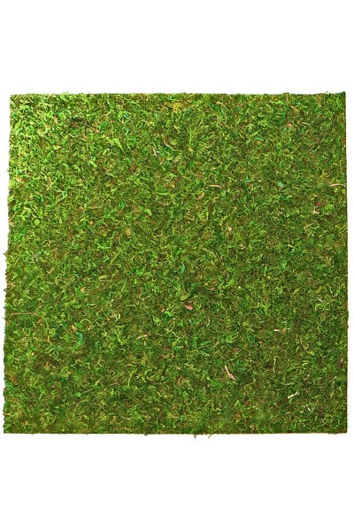 Фон моховый Repti-Zoo Natural Moss Back & Bottom 20x20см 2шт. (NCM2020)