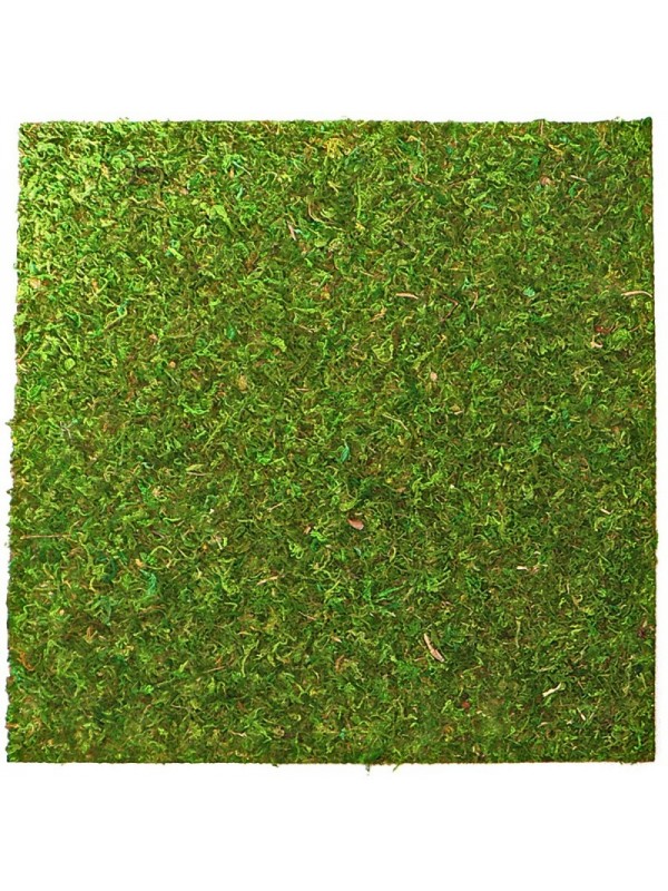 Фон моховый Repti-Zoo Natural Moss Back & Bottom 20x20см 2шт. (NCM2020)