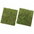 Фон моховый Repti-Zoo Natural Moss Back & Bottom 20x20см 2шт. (NCM2020)