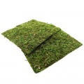 Фон моховый Repti-Zoo Natural Moss Back & Bottom 20x20см 2шт. (NCM2020)