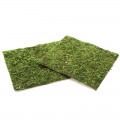 Фон моховый Repti-Zoo Natural Moss Back & Bottom 20x20см 2шт. (NCM2020)