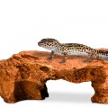 Декорация укритие Terrario Mountain Shelf M 22x17x8,5см (23188)