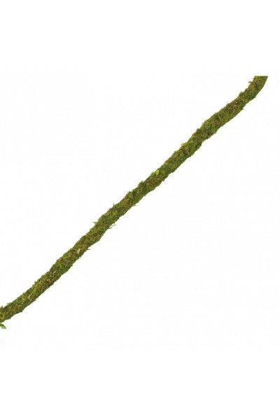 Ліана гнучка з натуральним мохом для тераріуму Repti-Zoo Artificial Moss Vine 1,5см x 2м (RV0215)