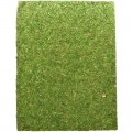 Фон моховый Repti-Zoo Natural Moss Back & Bottom 20x30см 2шт. (NCM3020)
