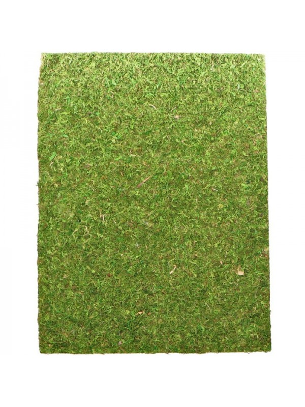 Фон моховый Repti-Zoo Natural Moss Back & Bottom 20x30см 2шт. (NCM3020)