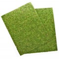 Фон моховый Repti-Zoo Natural Moss Back & Bottom 20x30см 2шт. (NCM3020)