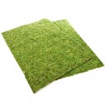 Фон моховый Repti-Zoo Natural Moss Back & Bottom 20x30см 2шт. (NCM3020)