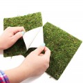 Фон моховый Repti-Zoo Natural Moss Back & Bottom 20x30см 2шт. (NCM3020)