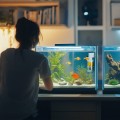 Внутренний фильтр Kruger Meier NeoClear 600 с биофильтрацией для аквариумов 20-40 литров