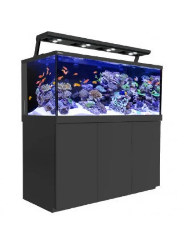 Red Sea Max S-650 - Black