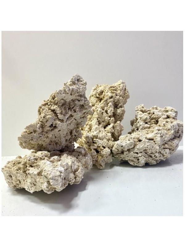 Сухой рифовый камень Base rock